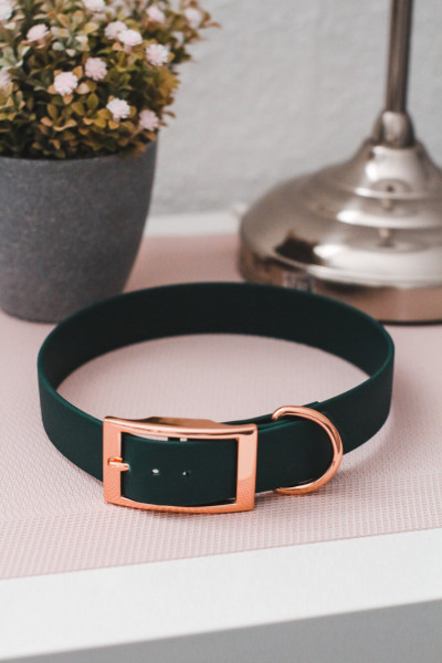 grünes Halsband aus Biothane
